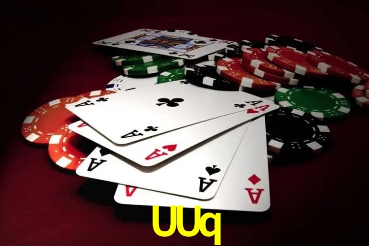 Interface Premium UUq